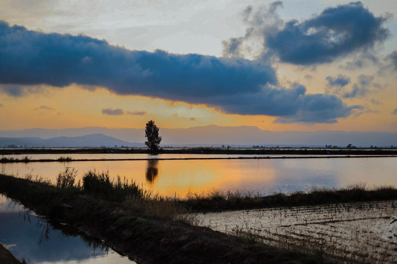La Casita Del Poble Nou Del Delta Villa Dış mekan fotoğraf
