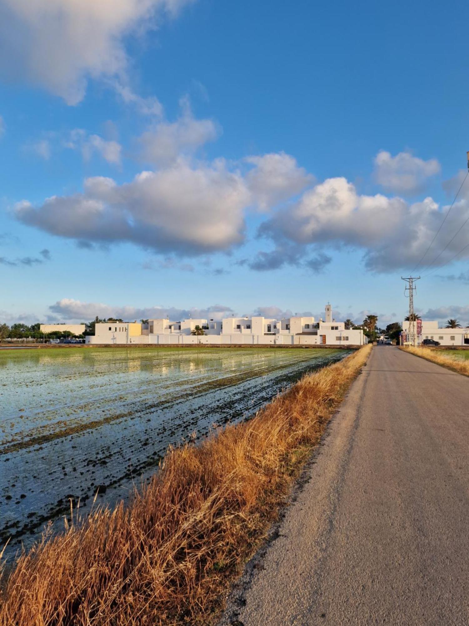 La Casita Del Poble Nou Del Delta Villa Dış mekan fotoğraf